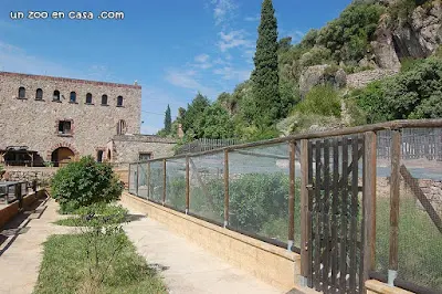 http://www.unzooencasa.com/2015/08/centre-tortugues-marca.html